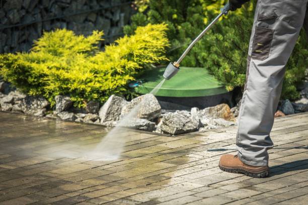 Pre-Holiday Cleaning in Orcutt, CA